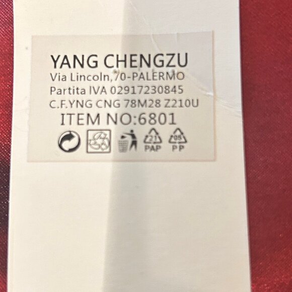 NWT Frida Kahlo silky scarf - Picture 3 of 11